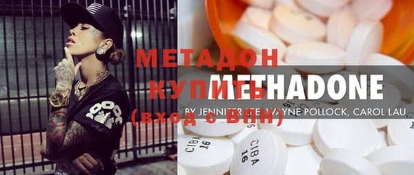 индика Алексин