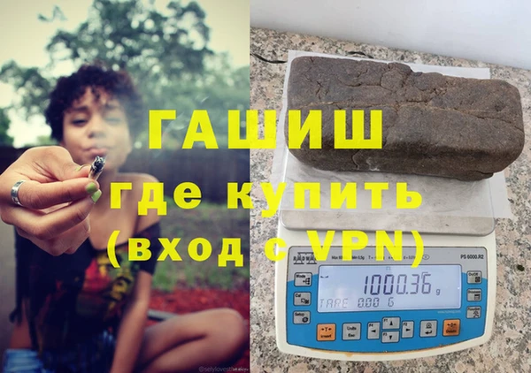 индика Алексин
