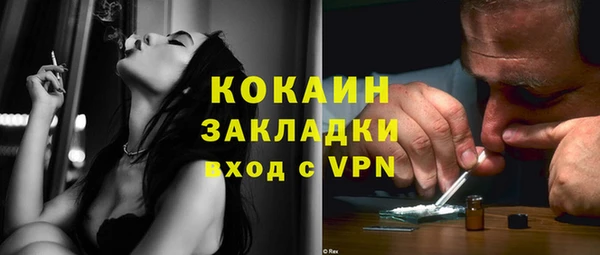 индика Алексин