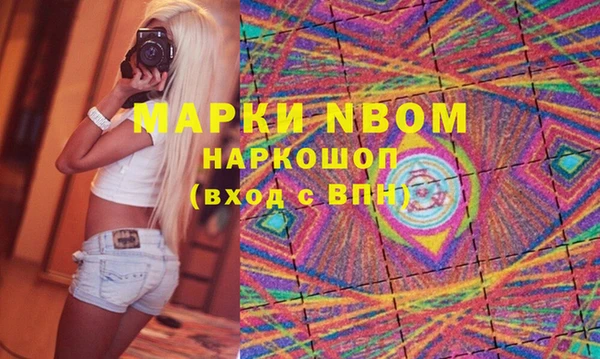 индика Алексин
