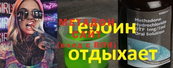индика Алексин