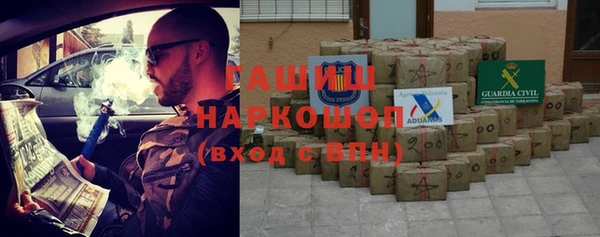 индика Алексин