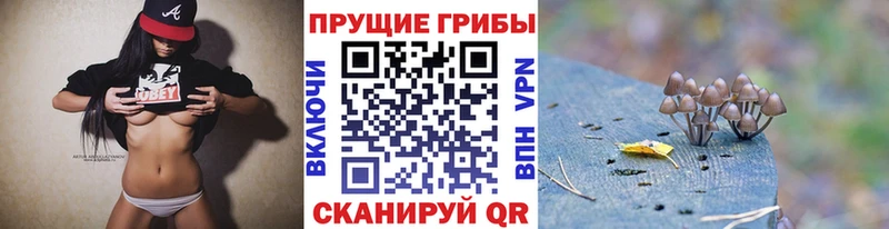 купить наркотики сайты  Лесной  Галлюциногенные грибы MAGIC MUSHROOMS 