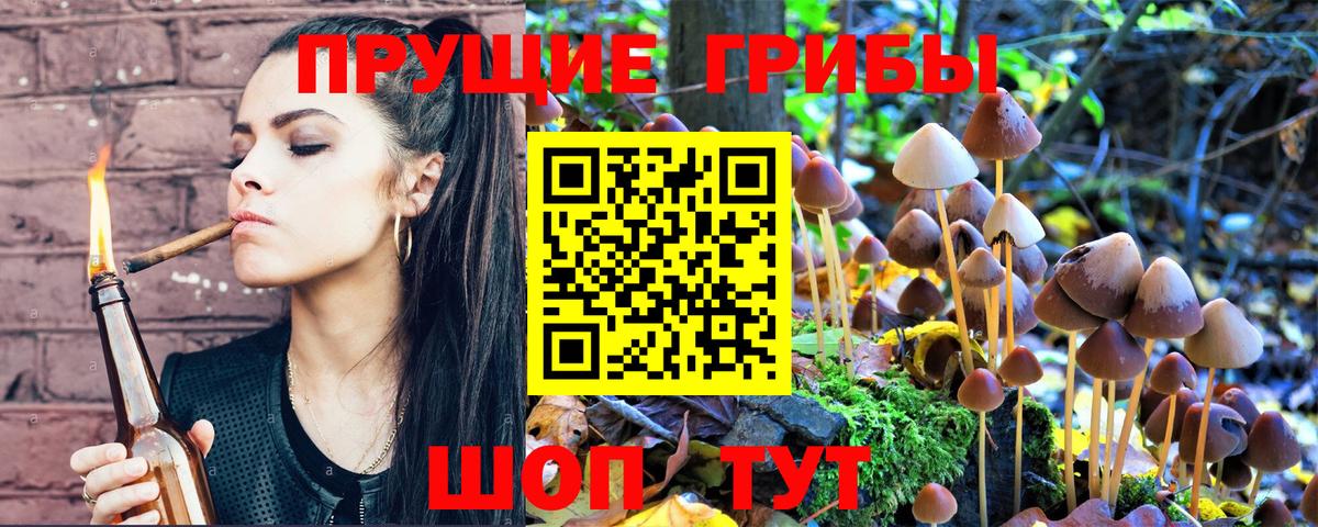 Галлюциногенные грибы Psilocybe  Вход с VPN  Лесной 