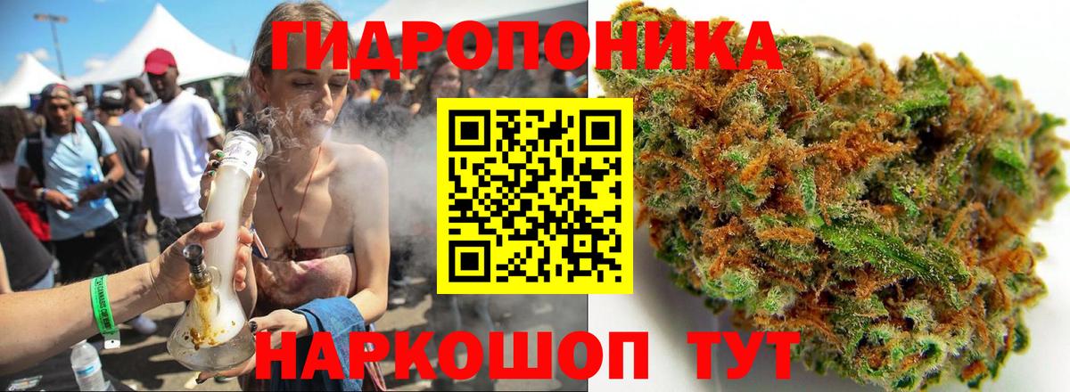Бошки марихуана Amnesia Лесной